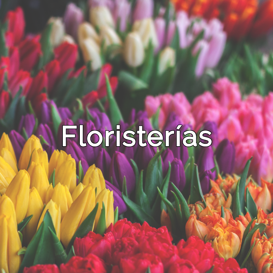 Floristería